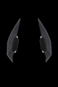 black horns